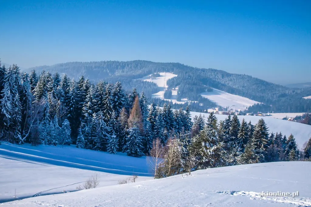 Tylicz, stacja Master-Ski: styczeń 2017, zdjęcie 25