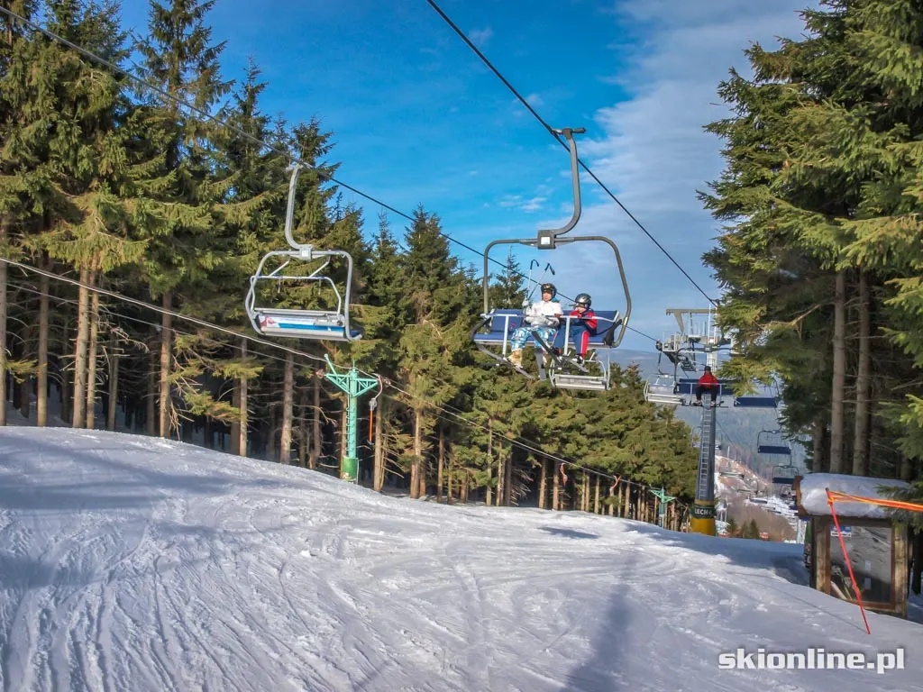 Freeski w Zieleńcu, zdjęcie 24