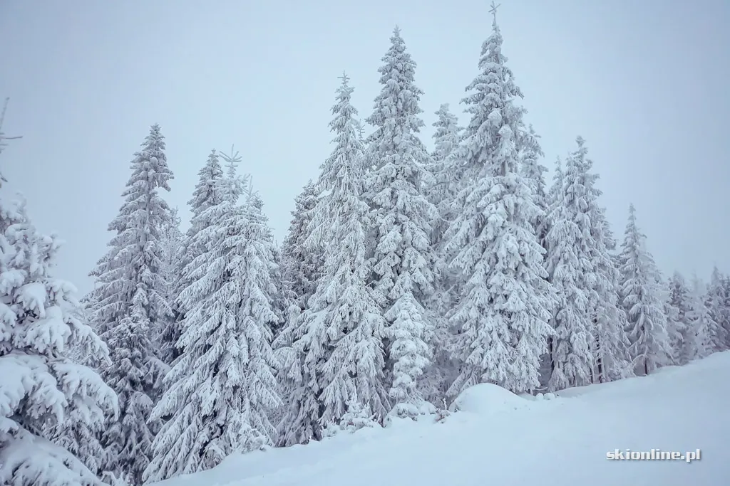 Szczyrk Mountain Resort. Sezon 18/19 otwarty, zdjęcie 21