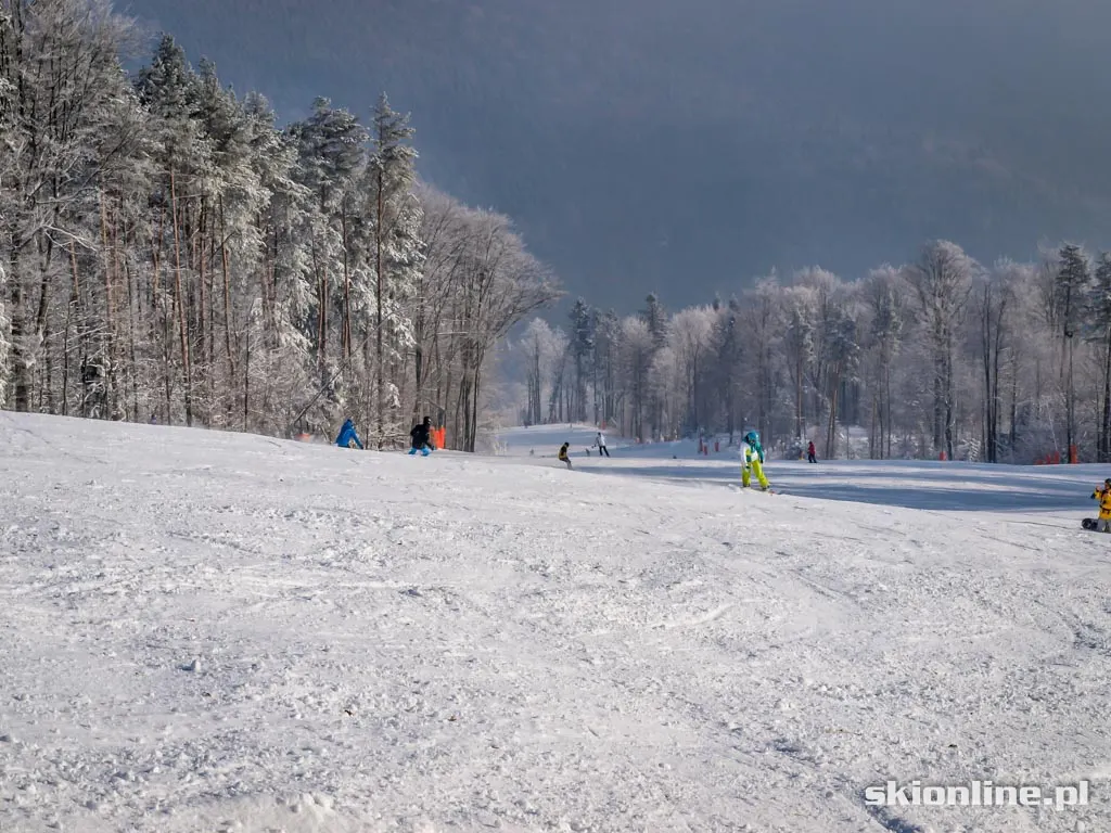 Jaworzyna Krynicka 2015.01.02, zdjęcie 28