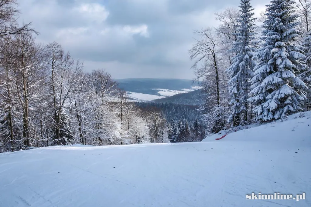 Magura Ski Park. Styczeń 2016, zdjęcie 13