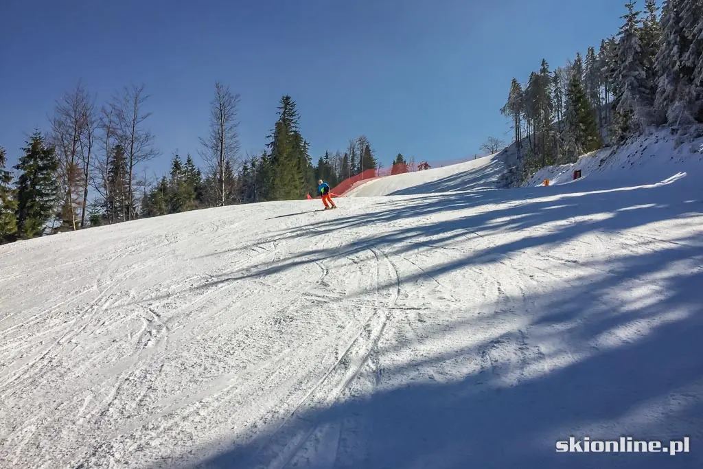 Szczyrk, Skrzyczne tras FIS: 17 marca 2016, zdjęcie 15