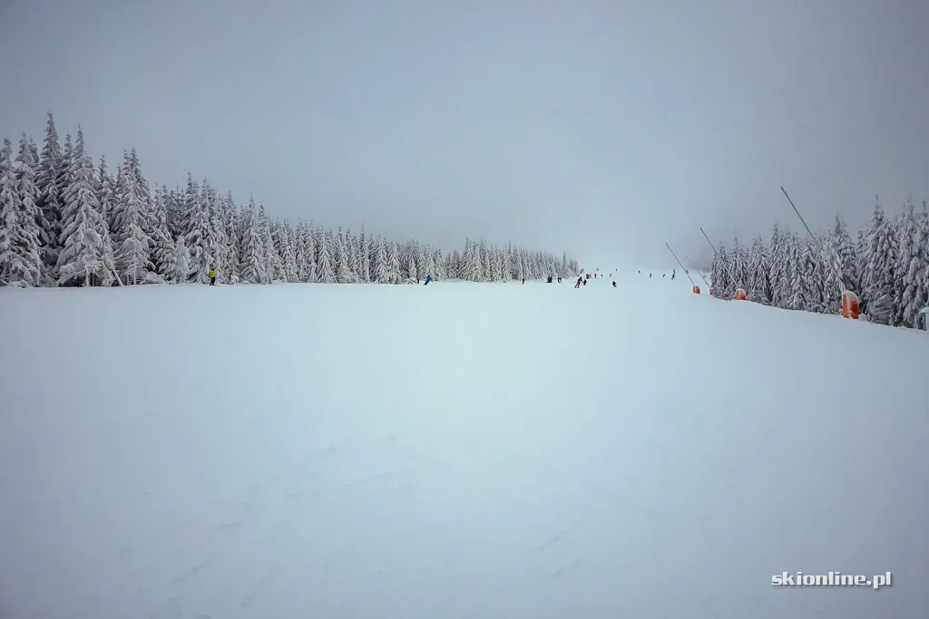 Szczyrk Mountain Resort. Sezon 18/19 otwarty, zdjęcie 29