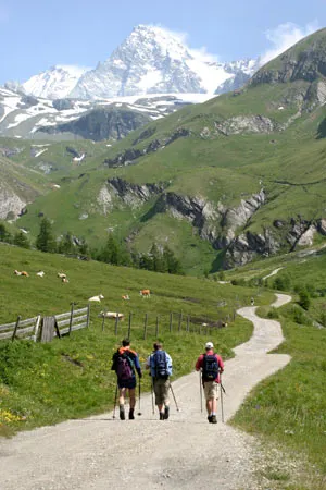 Zdjęcie 7 z galerii CampuS Explorers: Grossglockner 2004