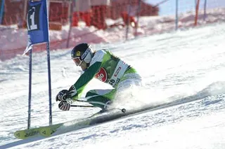 Ales Gorza
