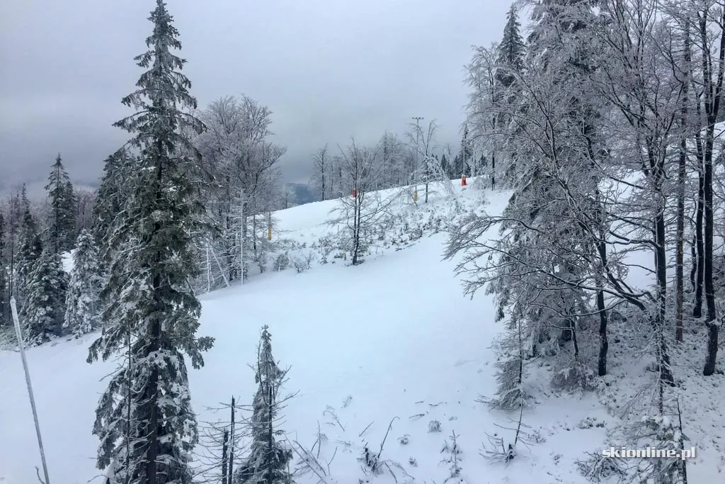 Szczyrk Mountain Resort otwarty, zdjęcie 53