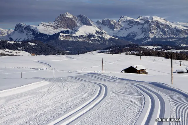 Alpe di Siusi narty z mieszkaniem na stoku, zdjęcie 10