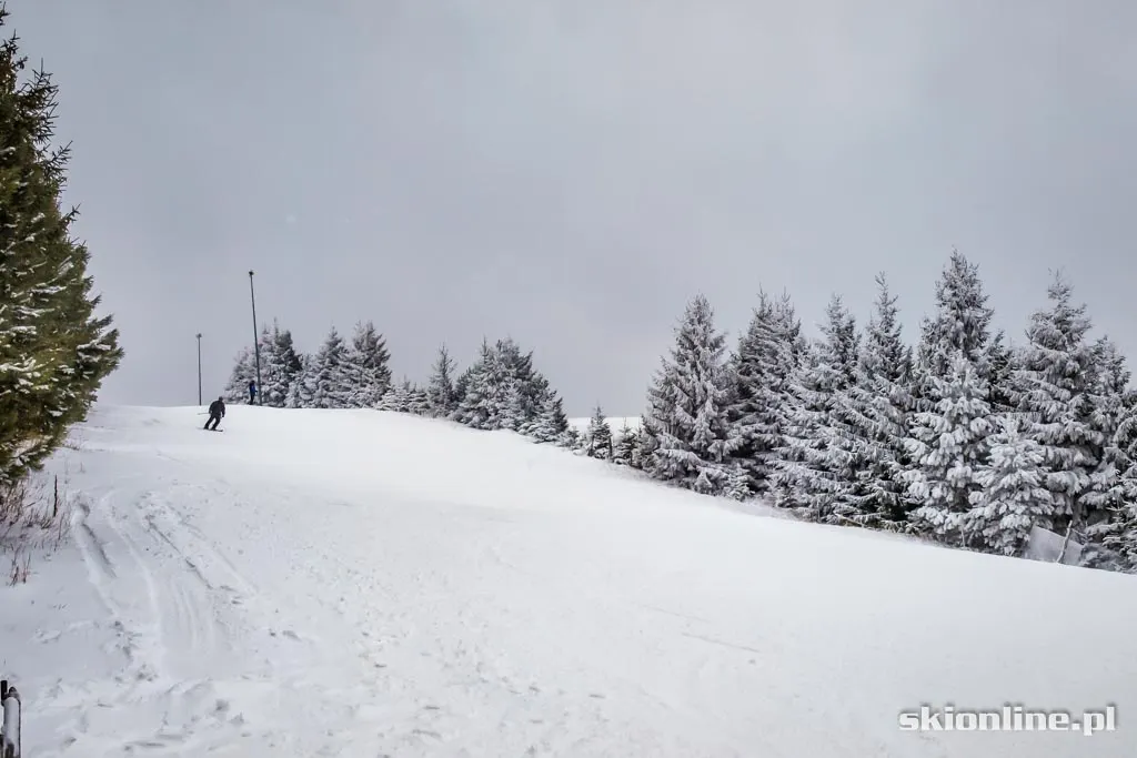 Karlików: styczeń 2016, zdjęcie 14