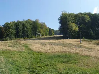 ON Brenna Węgierski, zdjęcie 14