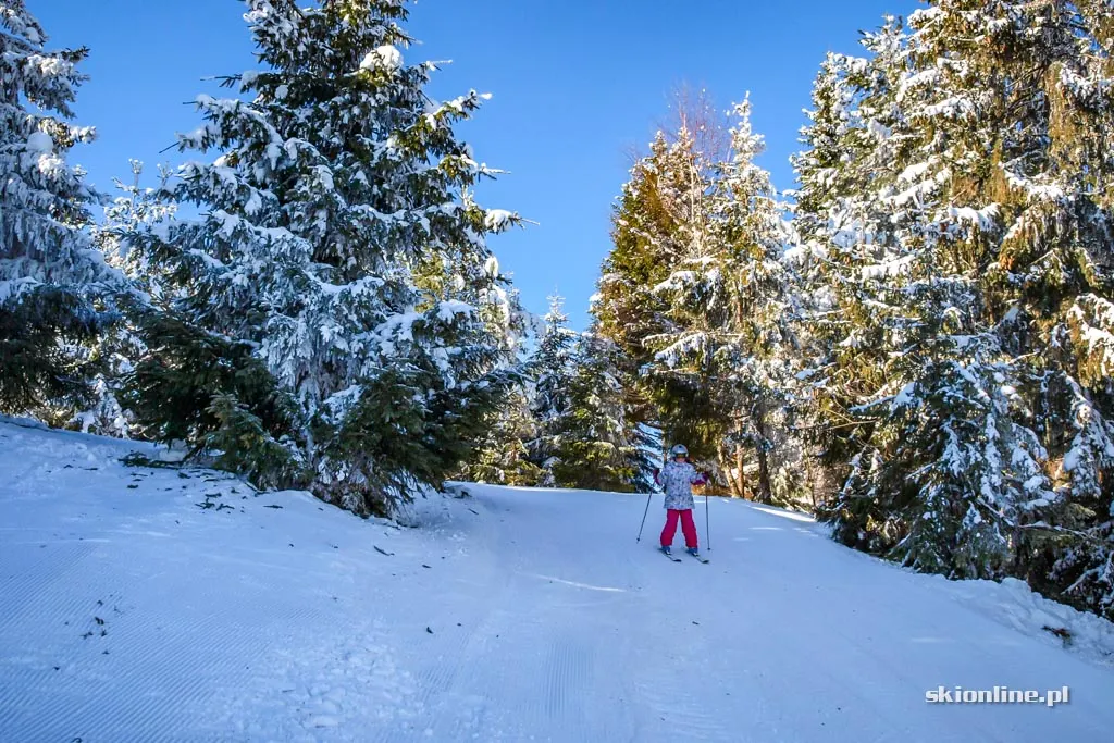 Tylicz, stacja Master-Ski: styczeń 2017, zdjęcie 7