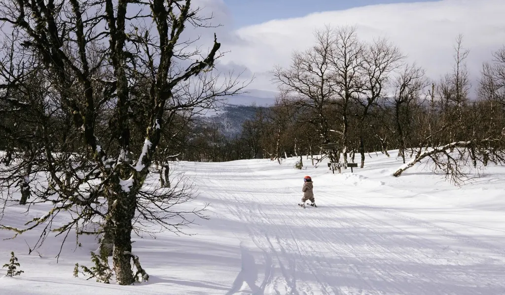 Dombås Skiheiser