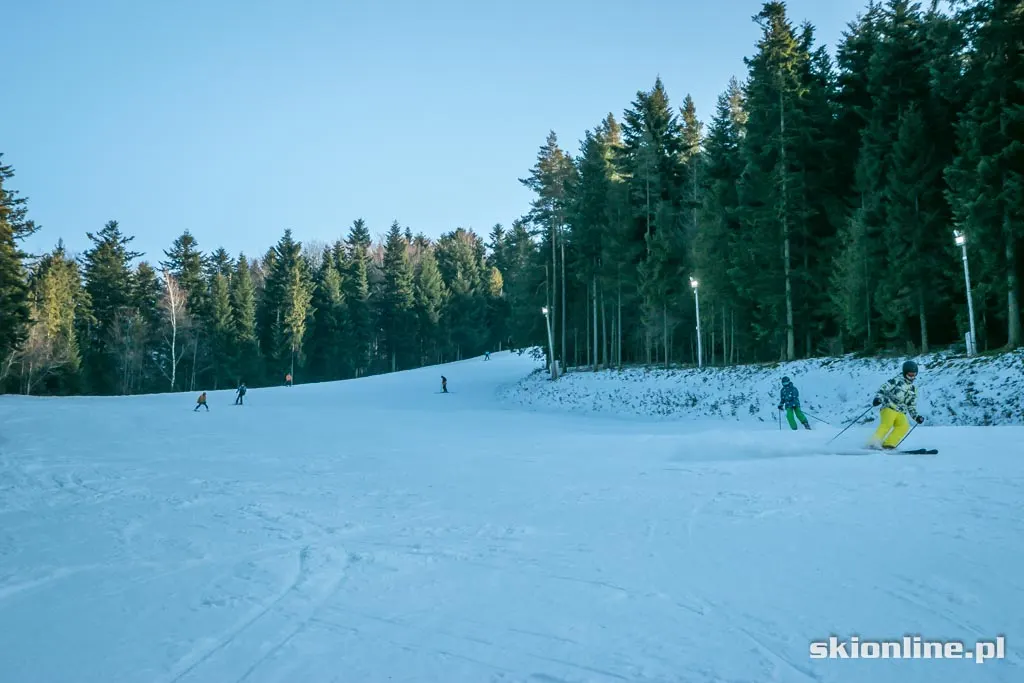 Kasina Wielka SN Śnieżnica 2015-01-16, zdjęcie 12