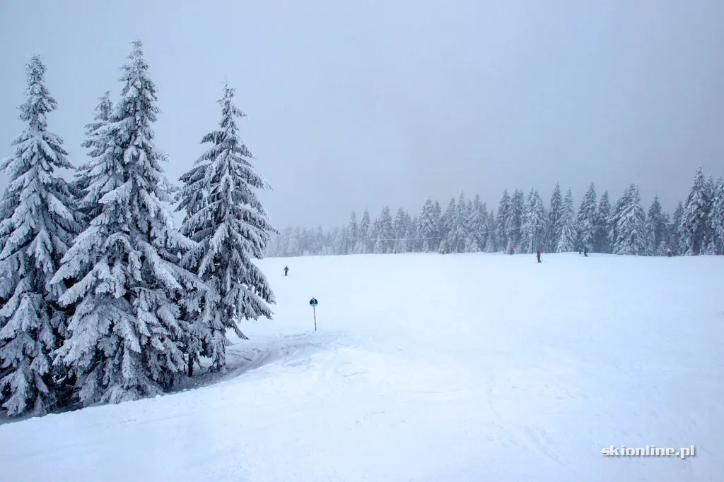 Winter Park Martinky, zdjęcie 9