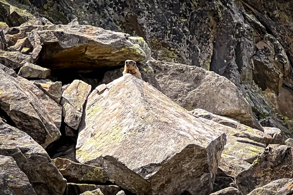 Letni trekking na lodowiec Stubai, zdjęcie 9