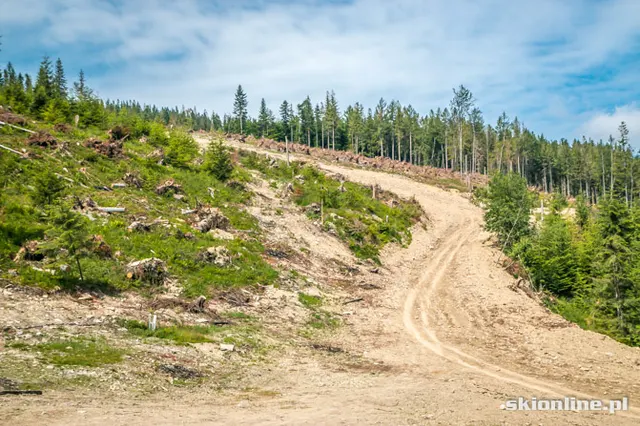 Widok z Soliska w kierunku Buczynki