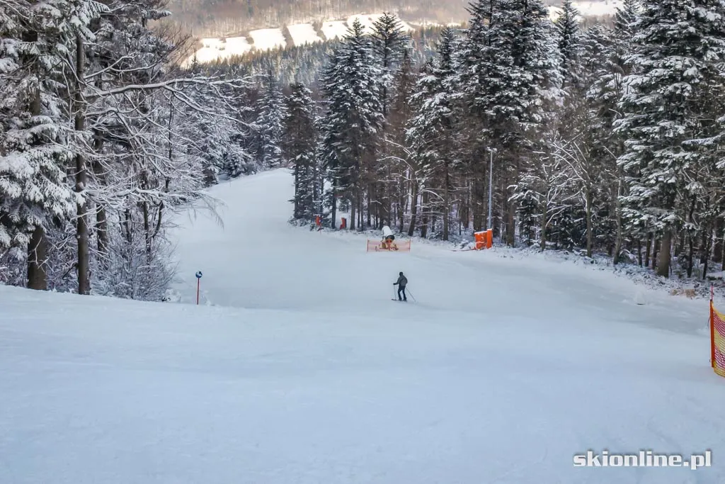 Magura Ski Park. Styczeń 2016, zdjęcie 14