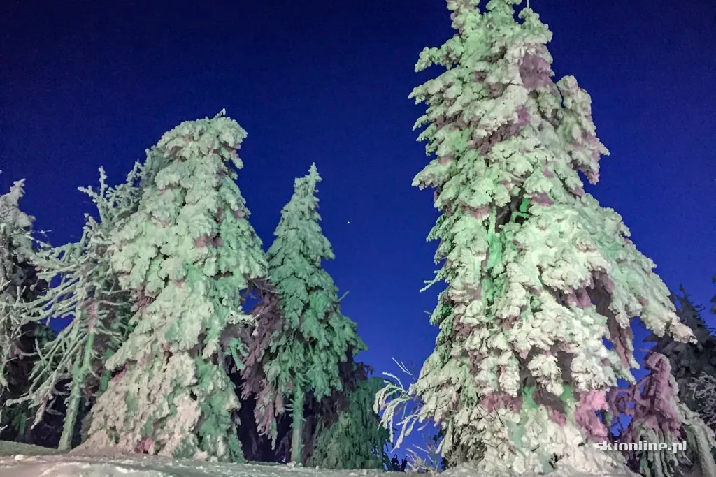 Zieleniec Ski Arena: w świetle księżyca, zdjęcie 33
