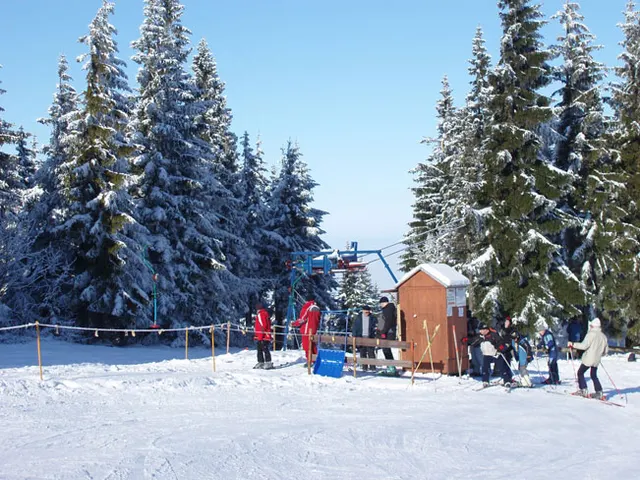 Zima w Beskidach: Szyndzielnia, zdjęcie 26