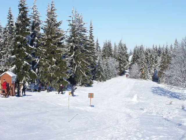 Zima w Beskidach: Szyndzielnia, zdjęcie 28