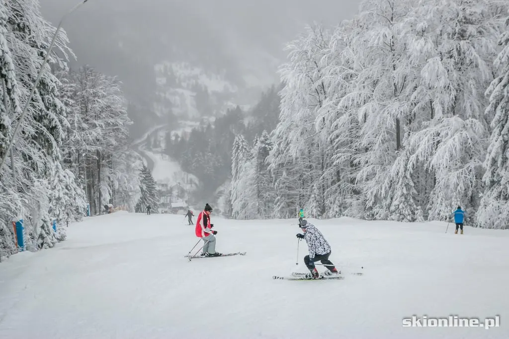 Zdjęcie 9 z galerii Szczyrk SON Golgota warunki narciarskie 1.01.2015