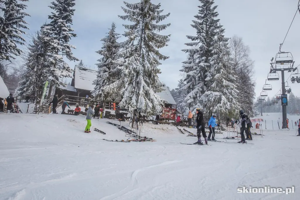 Dwie Doliny warunki narciarskie 2.01.2015, zdjęcie 7