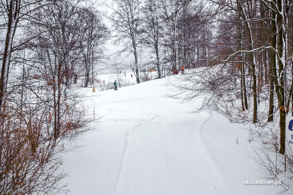 Kiczera-Ski: warunki narciarskie, 12.2016, zdjęcie 15