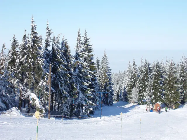 Zima w Beskidach: Szyndzielnia, zdjęcie 36