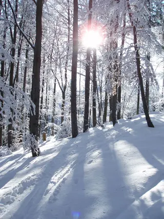 Zima w Beskidach: Szyndzielnia, zdjęcie 63