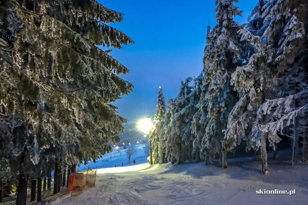Zieleniec Ski Arena: w świetle księżyca, zdjęcie 14