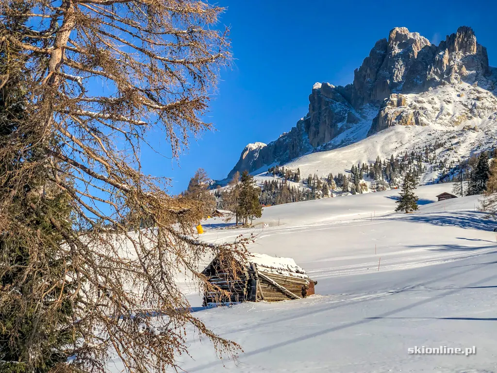 Carezza. Ośrodek narciarski w Dolomitach, zdjęcie 6