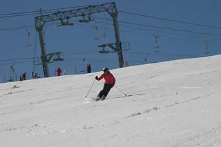 Narty latem Polskie Dni 2006, zdjęcie 41