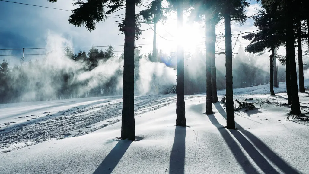 Zieleniec Ski Arena. Przygotowana do sezonu 18/19, zdjęcie 6