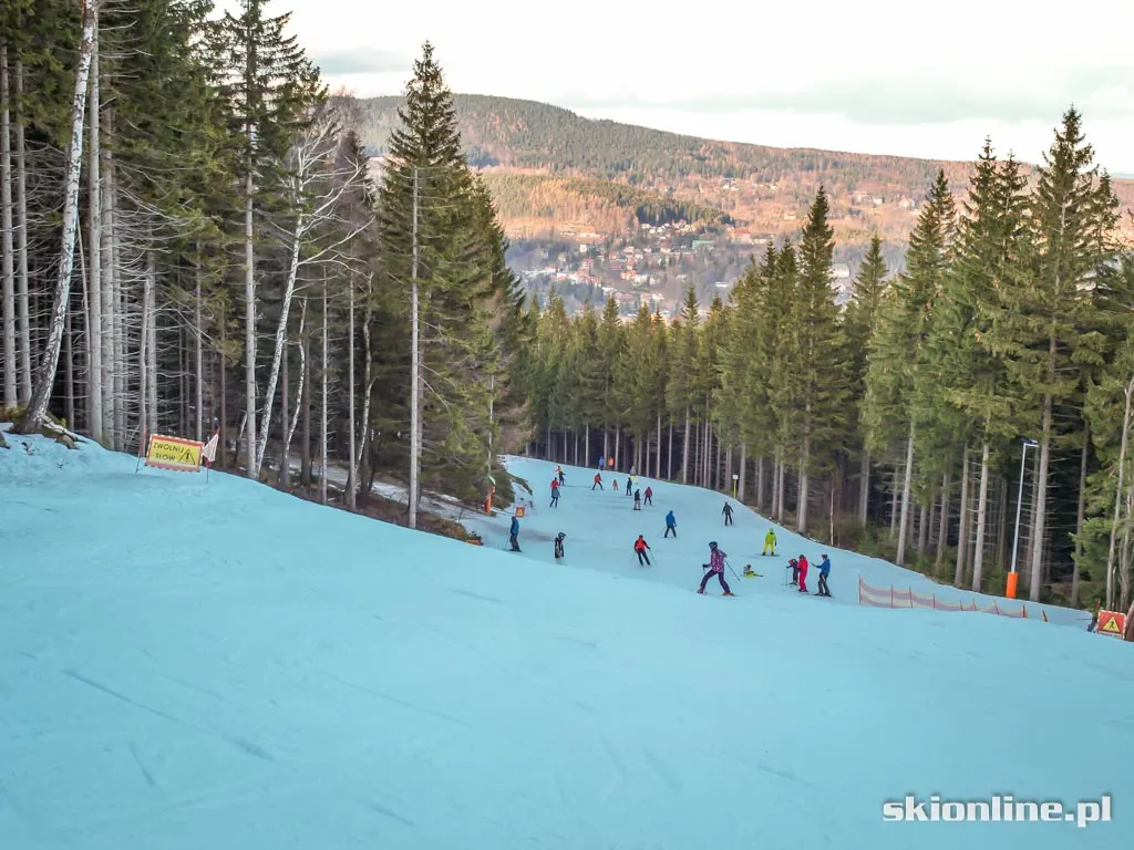 Ski Arena Szrenica. Koniec stycznia 2016, zdjęcie 26