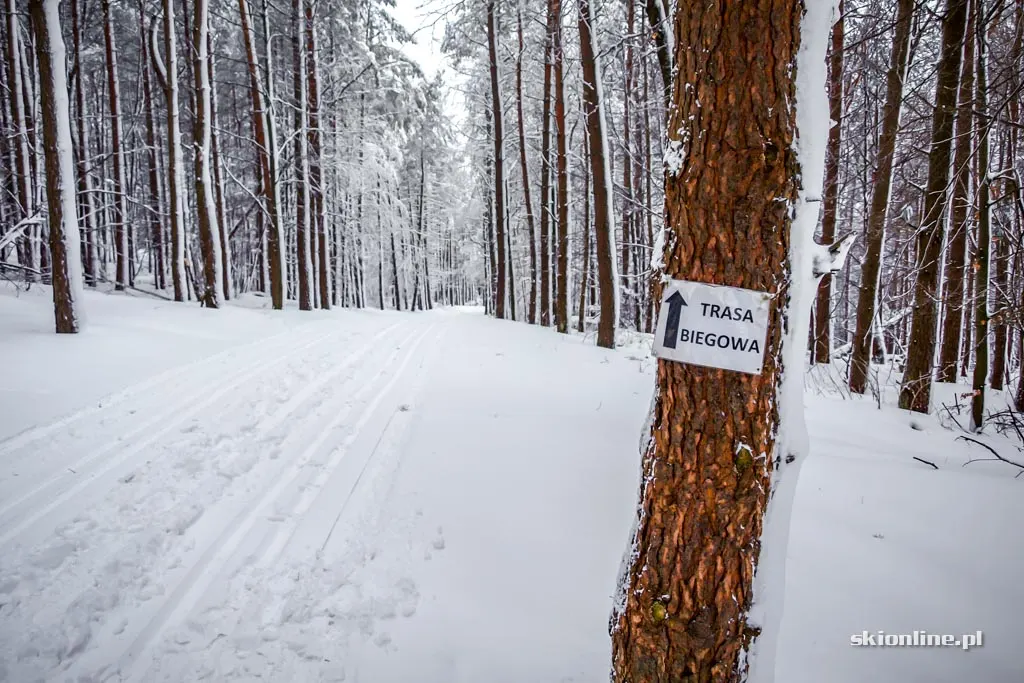 Kiczera-Ski: warunki narciarskie, 12.2016, zdjęcie 21
