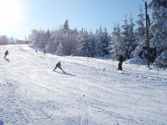 Zima w Beskidach: Szyndzielnia, zdjęcie 30