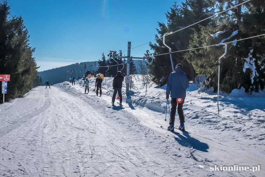 Freeski w Zieleńcu, zdjęcie 31