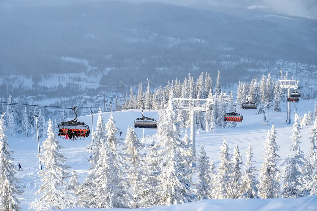 Nesfjellet Alpin