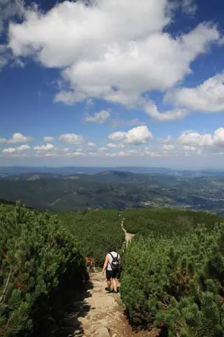 Czerwonym na Babią Górę 1725 m, zdjęcie 62