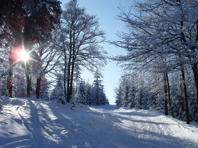 Zima w Beskidach: Szyndzielnia, zdjęcie 72