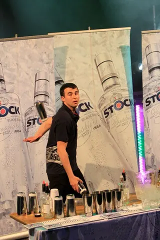 Polskie Dni 2010: pokaz barmański, zdjęcie 13