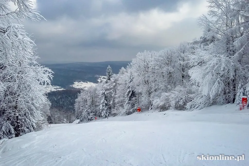 Magura Ski Park. Styczeń 2016, zdjęcie 4