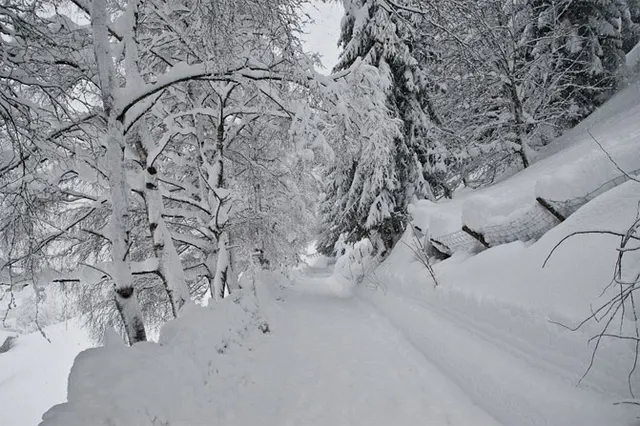 Austria pod śniegiem styczeń 2012, zdjęcie 12