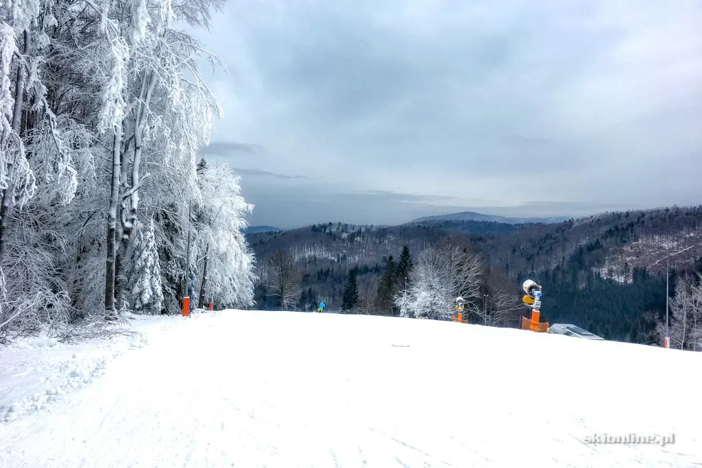 Zdjęcie 12 z galerii Czarny Groń przed świętami XII 2017