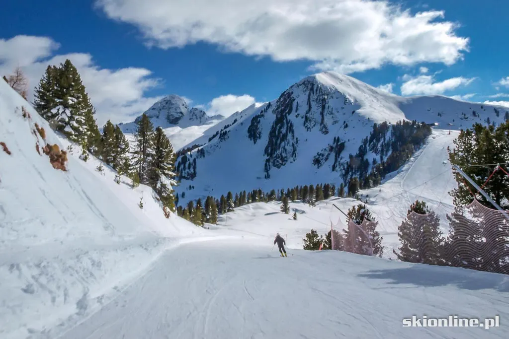 Val di Fiemme, Alpe Cermis: Trentino marzec 2016, zdjęcie 33