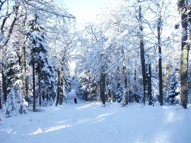 Zima w Beskidach: Szyndzielnia, zdjęcie 74