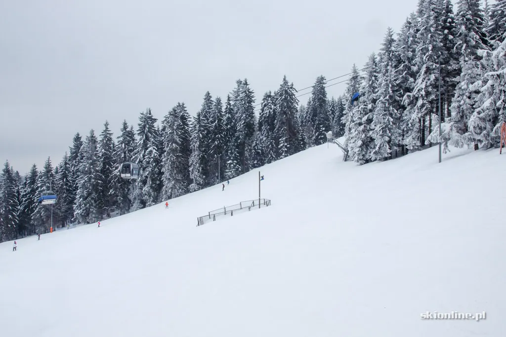 Zieleniec Ski Arena: Nartorama, zima w pełni, zdjęcie 5