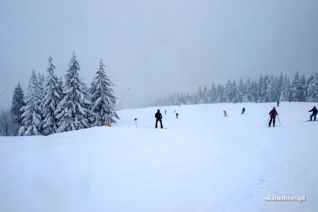 Winter Park Martinky, zdjęcie 8