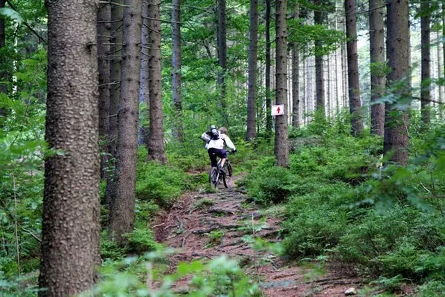 Enduro Trophy Brenna 2010 OS 3, zdjęcie 39