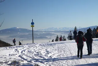 Beskidy: Szyndzielnia i Klimczok, zdjęcie 20