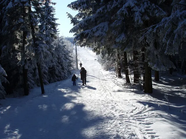 Zima w Beskidach: Szyndzielnia, zdjęcie 1